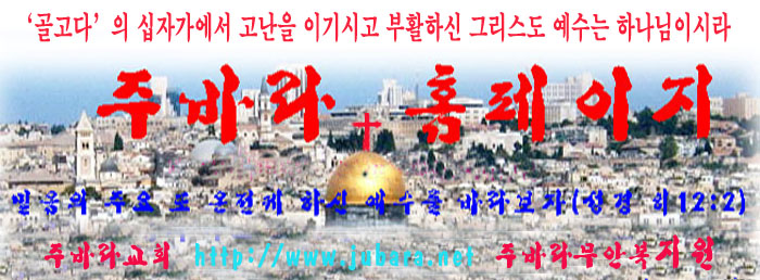 ŷ  ڰ 